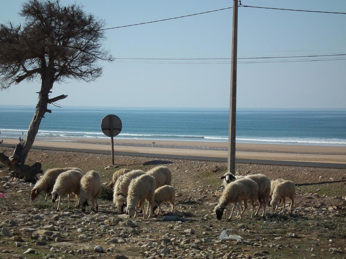 Sidi Kaouki Beach Hostel Exteriér fotografie