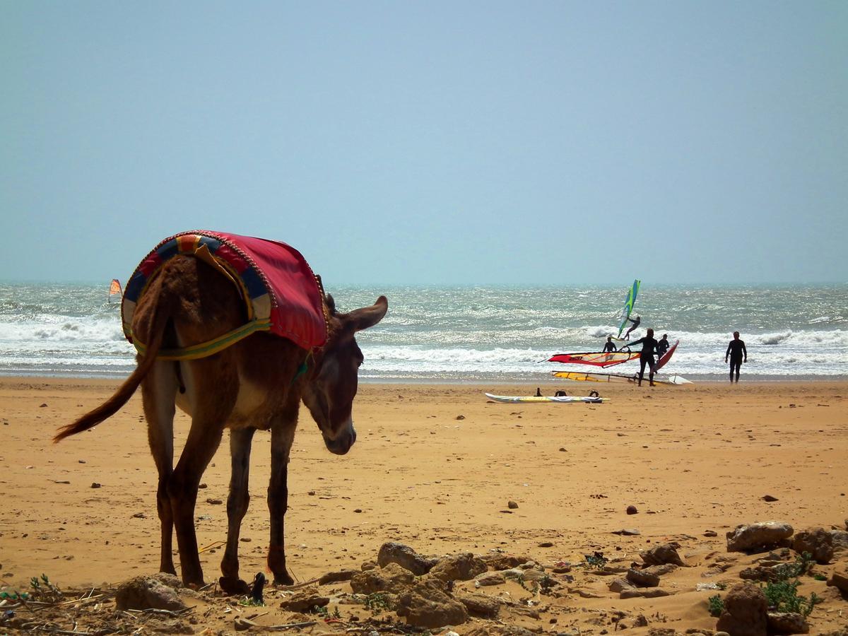 Sidi Kaouki Beach Hostel Exteriér fotografie